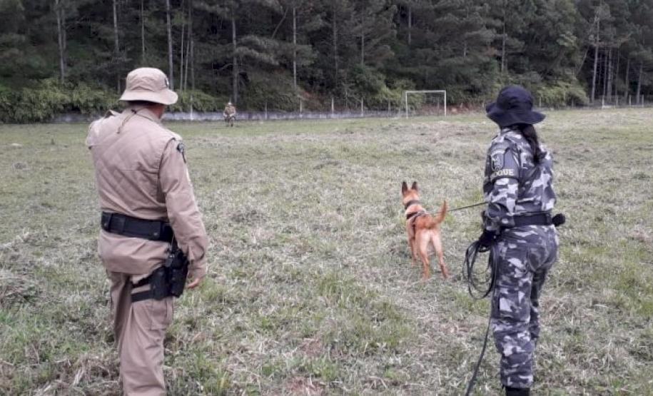 Policiais militares cinotécnicos do Paraná concluem o 1º Curso de Busca e Captura com Cães em Santa Catarina