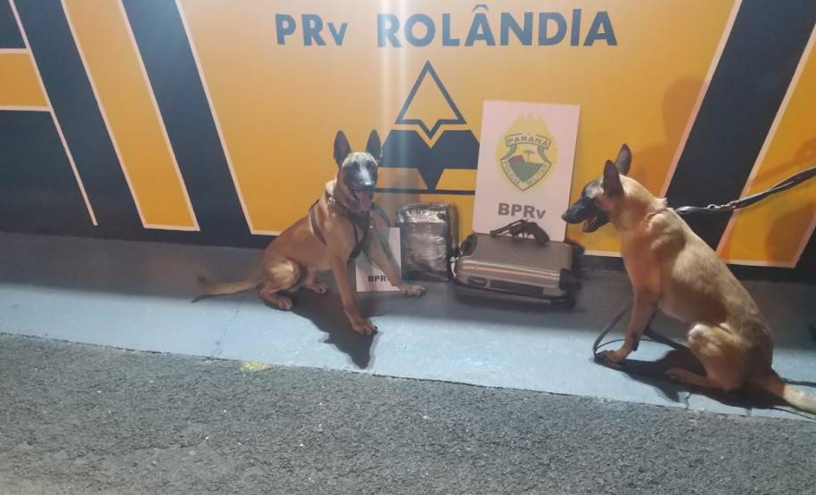Mulher é presa pela Polícia Rodoviária Estadual (PRE) transportando mais de nove quilos de maconha e um revólver em Rolândia (PR)