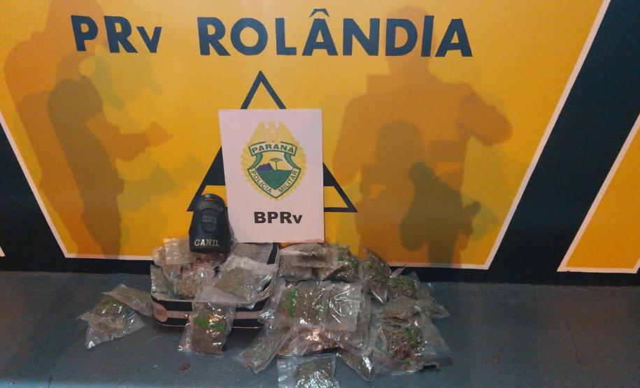 Com apoio do cão de faro Hórus, BPRv prende rapaz e apreende mais de 7,5 quilos de maconha em Rolândia (PR)