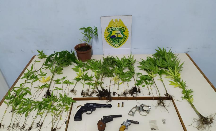 Operação do projeto Em Frente Brasil resulta em três presos e mais de 50 pés de maconha apreendidos