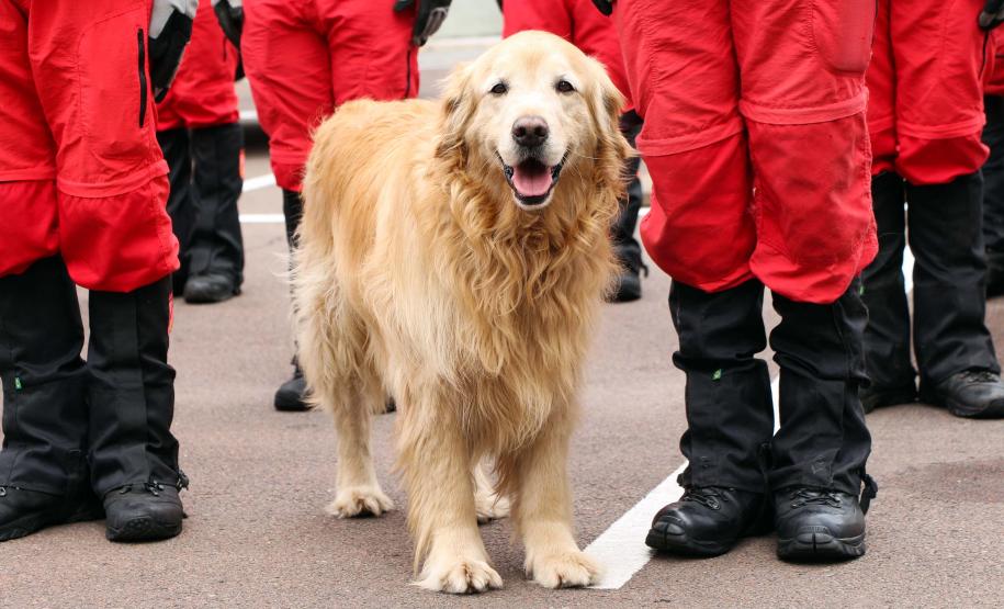 Corpo de Bombeiros do Paraná comemora 107 anos com entrega de medalhas e homenagens em Curitiba, na Capital do estado