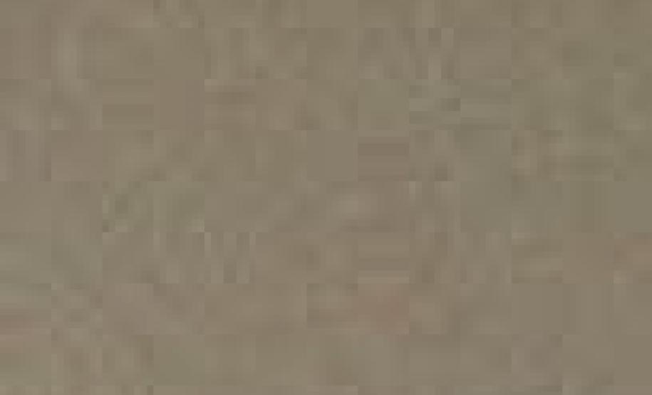 BOPE comemora nove anos de criação com entrega de medalhas e homenagens em Curitiba