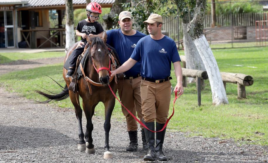 Equoterapia ofertada pela PM já beneficiou 5 mil pessoas