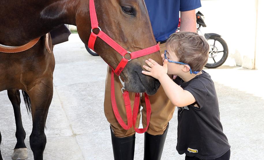 Equoterapia ofertada pela PM já beneficiou 5 mil pessoas