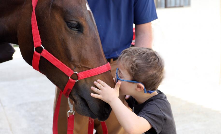 Equoterapia ofertada pela PM já beneficiou 5 mil pessoas