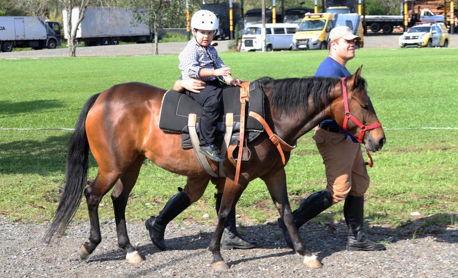 Equoterapia ofertada pela PM já beneficiou 5 mil pessoas
