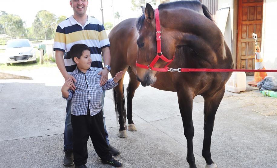 Equoterapia ofertada pela PM já beneficiou 5 mil pessoas