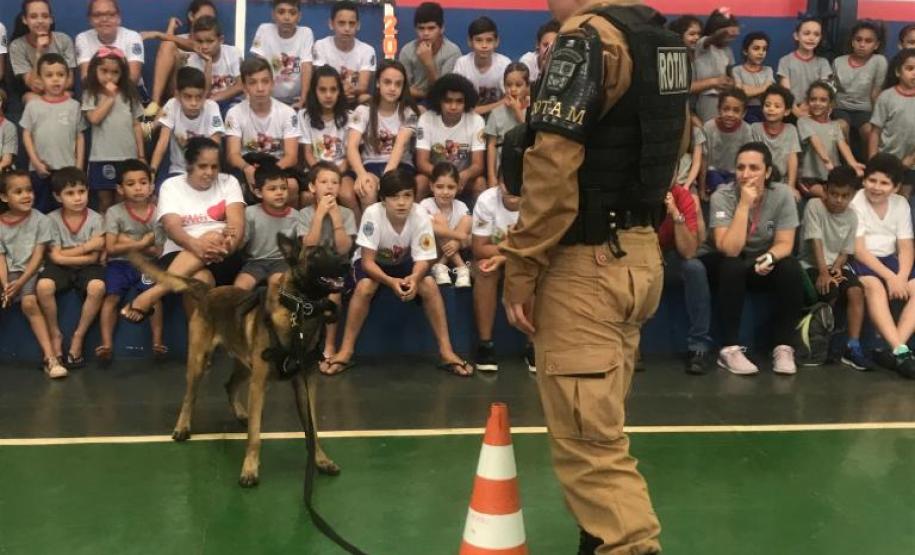 Durante formatura do PROERD, Canil do 19º Batalhão faz apresentação com os cães da corporação em Palotina (PR)