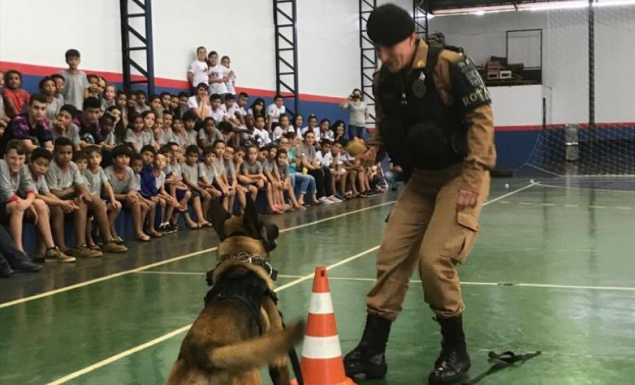Durante formatura do PROERD, Canil do 19º Batalhão faz apresentação com os cães da corporação em Palotina (PR)