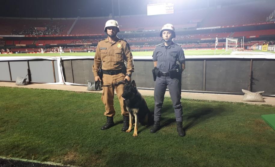 Integrantes do Canil do BOPE participam de curso e de congresso sobre cinotecnia em São Paulo