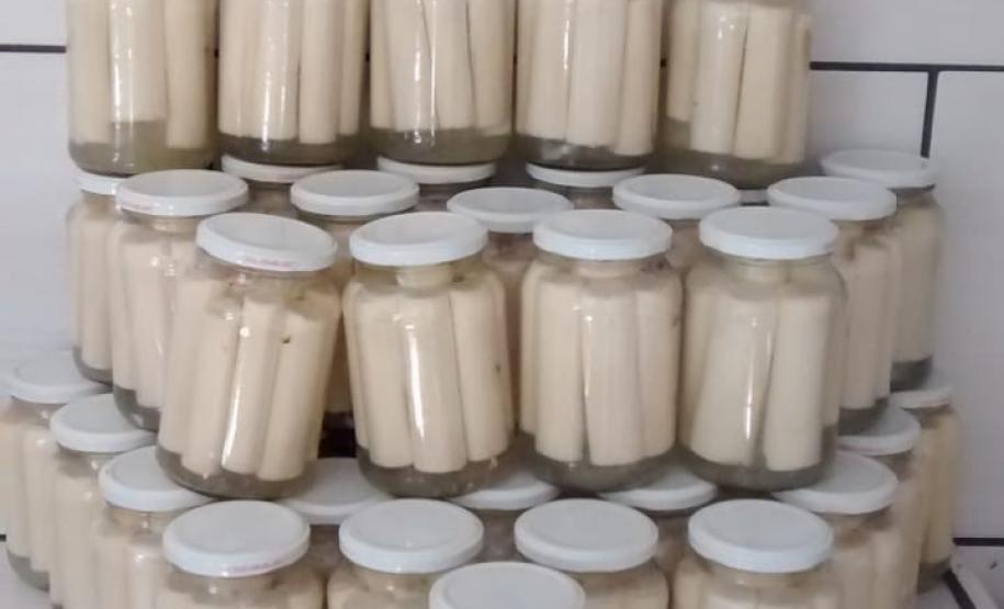 BPAmb-FV apreende vidros de Palmito-Jussara em Morretes (PR)