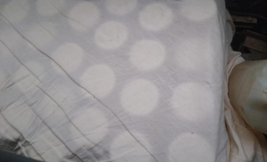 BPAmb-FV apreende vidros de Palmito-Jussara em Morretes (PR)