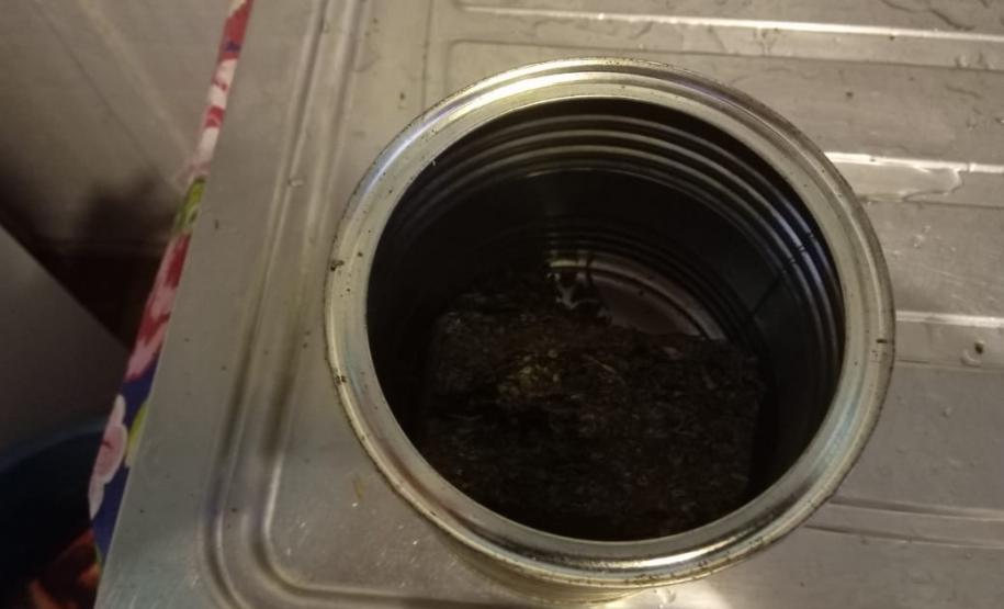 Operação no trapiche para a Ilha do Mel retira drogas de circulação no Litoral