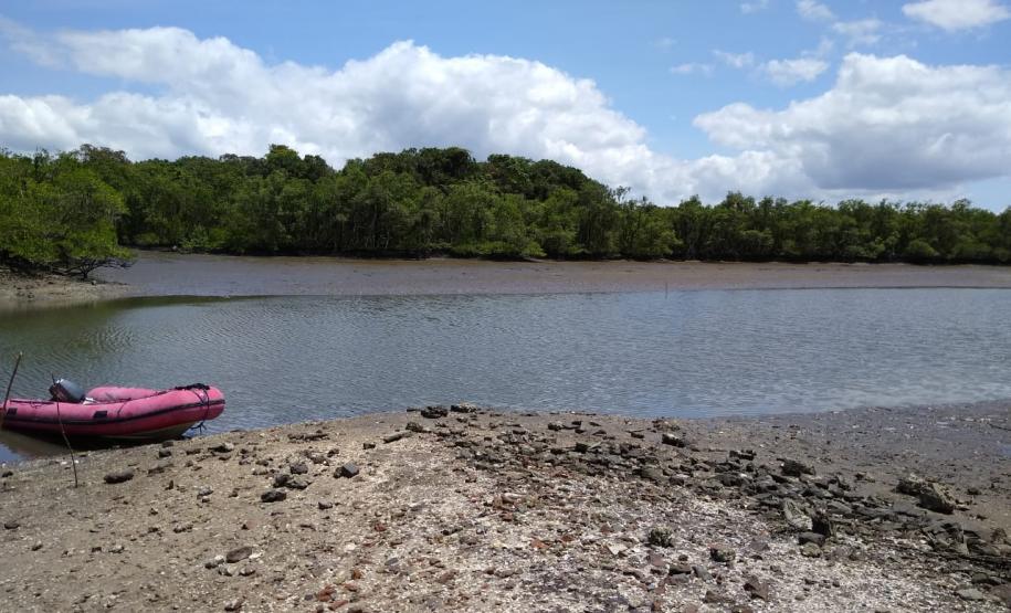 Corpo de Bombeiros localiza corpo de homem que estava desaparecido há mais de 24h em Paranaguá (PR)
