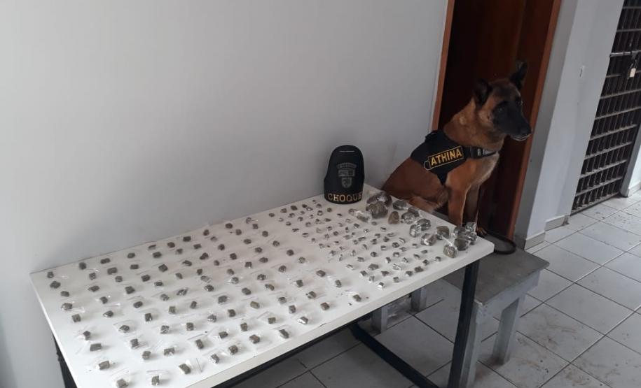 Quase 800 gramas de maconha são apreendidos pela PM em Cambé (PR)