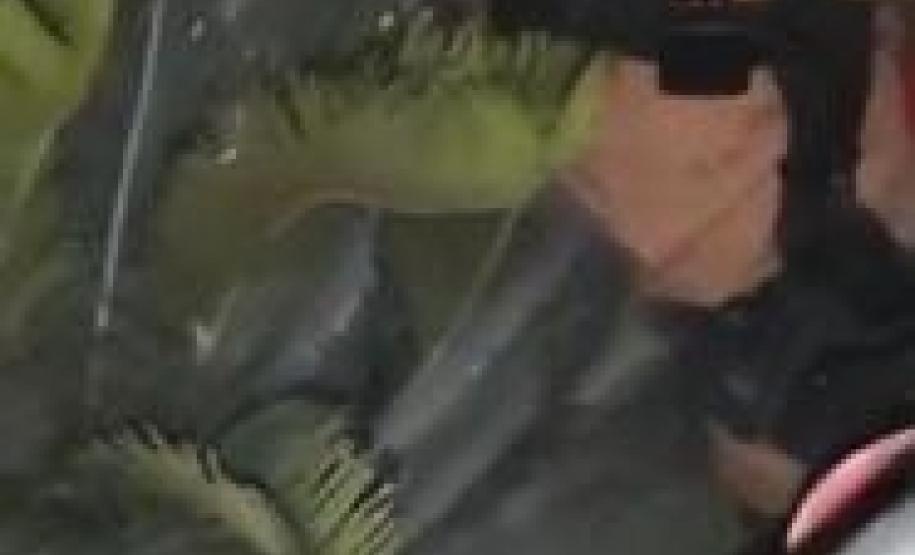 Equipe policial age rápido e cessa fogo que atingia apartamento durante a virada do ano em Matinhos (PR)