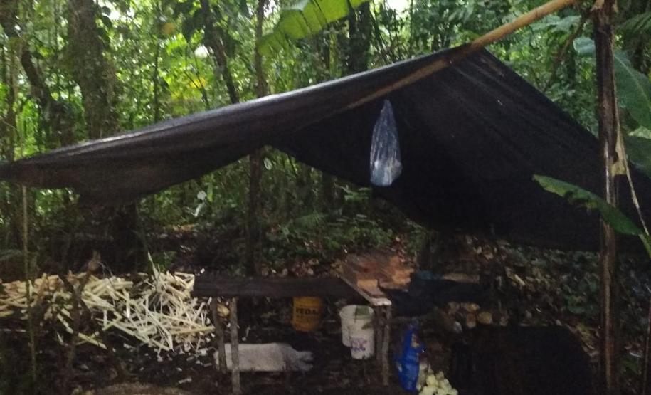 Polícia Ambiental descobre fábrica ilegal de palmito dentro de matagal em Morretes (PR), no Litoral do estado