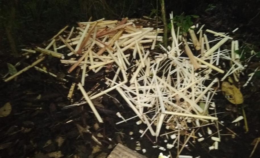 Polícia Ambiental descobre fábrica ilegal de palmito dentro de matagal em Morretes (PR), no Litoral do estado