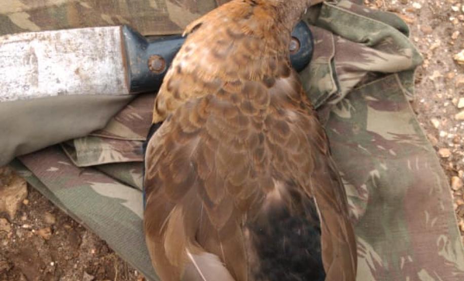 Polícia Ambiental flagra homem com arsenal para caça ilegal em Bocaiuva do Sul