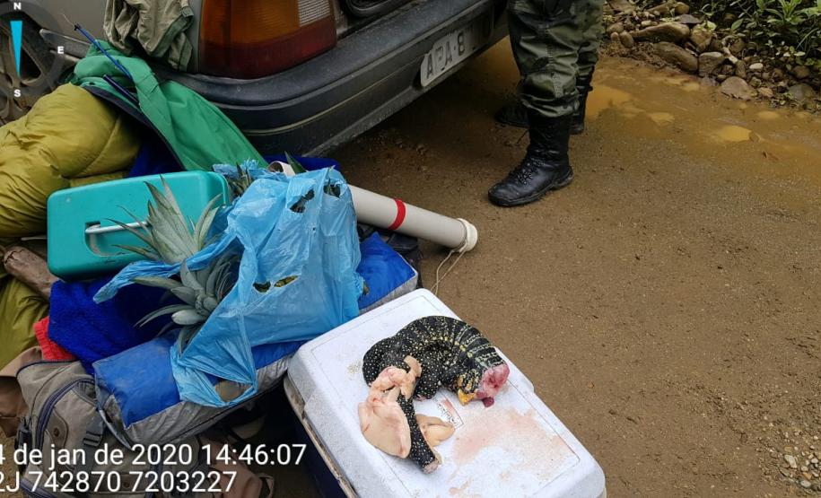 Polícia Ambiental prende dois homens, apreendem quatro espingardas e aplicam multa de R$ 14 mil no Litoral do estado