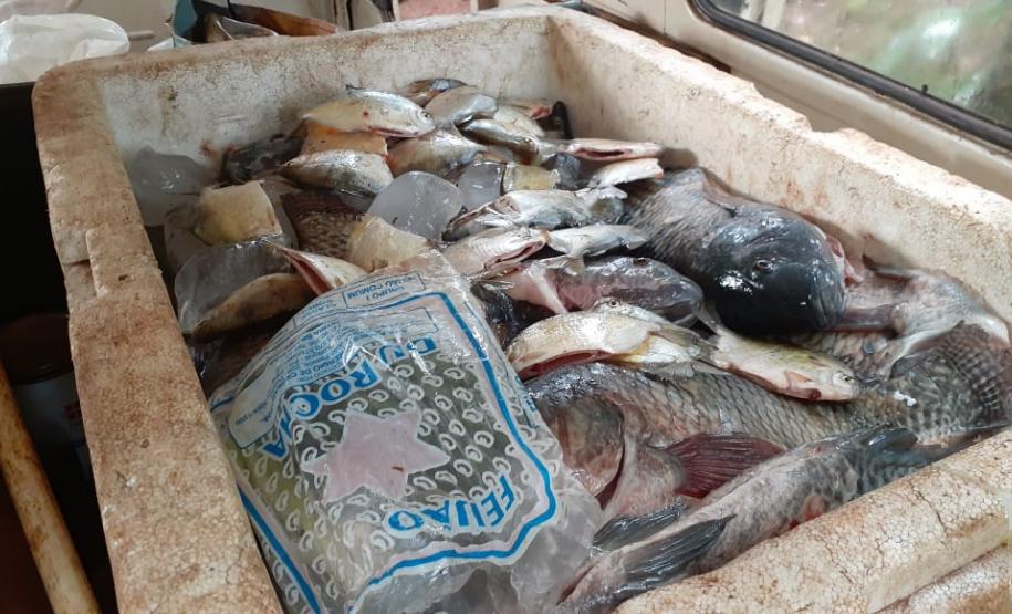 BPAmb-FV prende três pessoas e apreende mais de 60 quilos de peixe e 350 metros de rede no Norte do estado