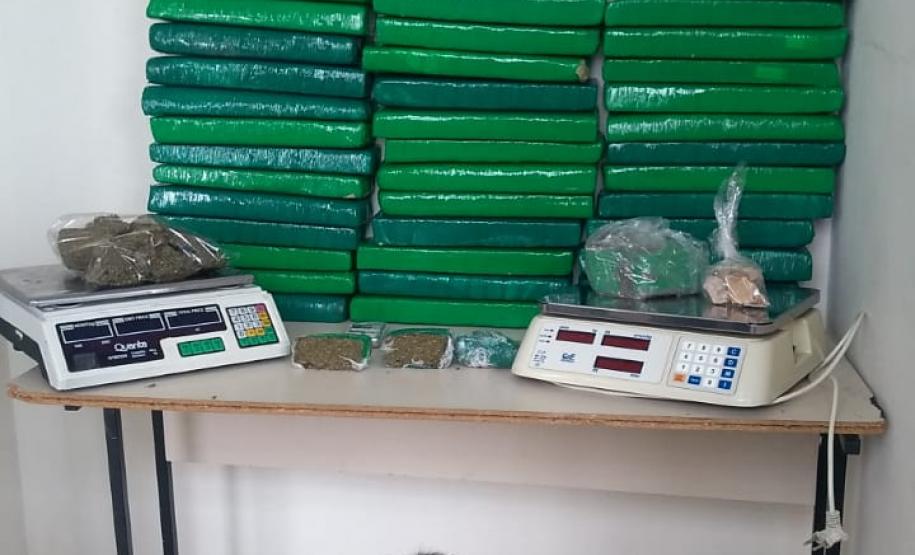 Em Ponta Grossa (PR) PM apreende mais de 52 quilos de drogas com o apoio de cão de faro