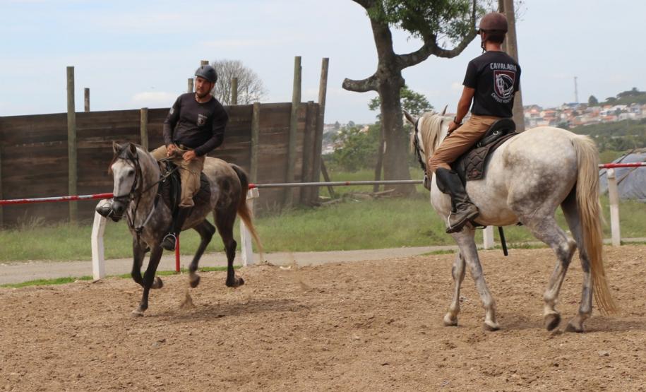 TREINAMENTO COM EQUINOS