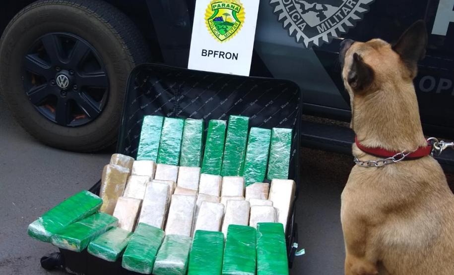 BPFron apreende mais de 26 quilos de maconha e cigarros contrabandeados em Toledo, no Oeste do estado