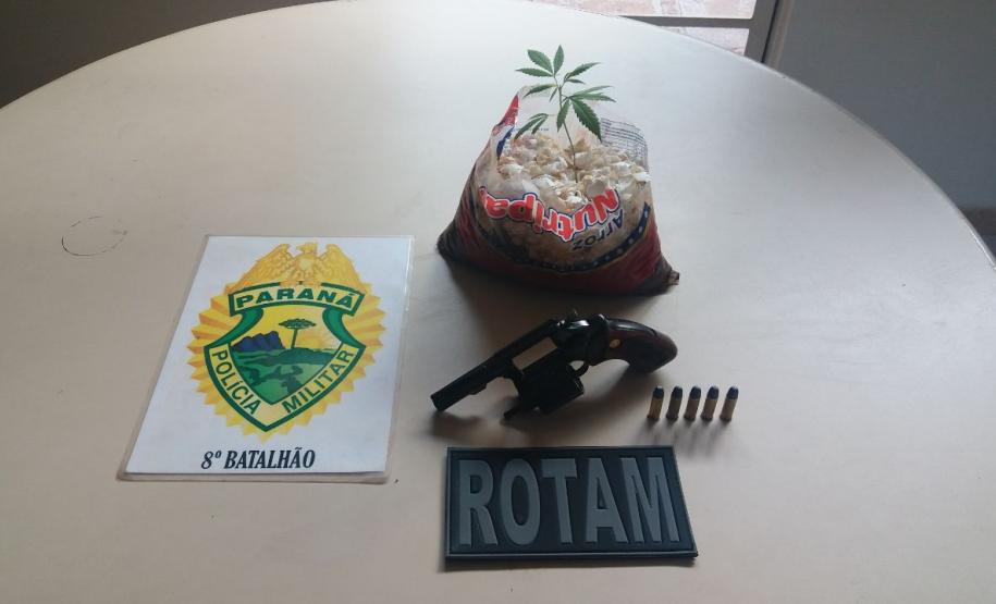 Em situações distintas, PM encaminha quatro pessoas e apreende pés de maconha e um revólver no Noroeste do estado