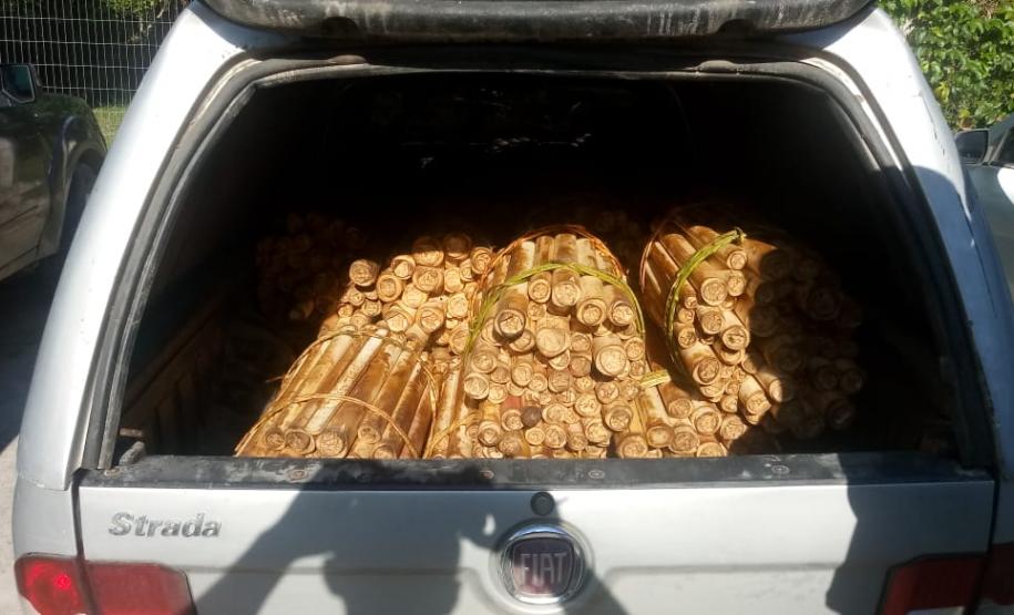 Polícia Ambiental prende homem que transportava Palmito in natura no Litoral do estado