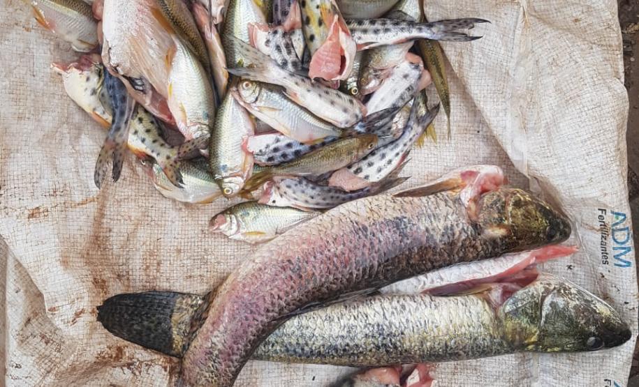 Polícia Ambiental prende homem após pescar peixes nativos no Sudoeste do estado; uma arma de fogo foi apreendida