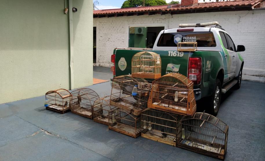Polícia Ambiental apreende nove aves silvestres e aplica R$ 4,5 mil em multa em Campo Mourão (PR)