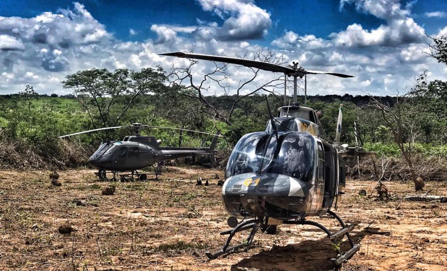 Helicóptero da PM do Paraná plantação que renderia três toneladas de maconha no Polígono da Maconha, no sertão nordestino