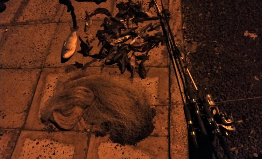 Com operação Lua Cheia, PM Ambiental lavra quatro autos de infração por caça e pesca ilegal no Norte do estado