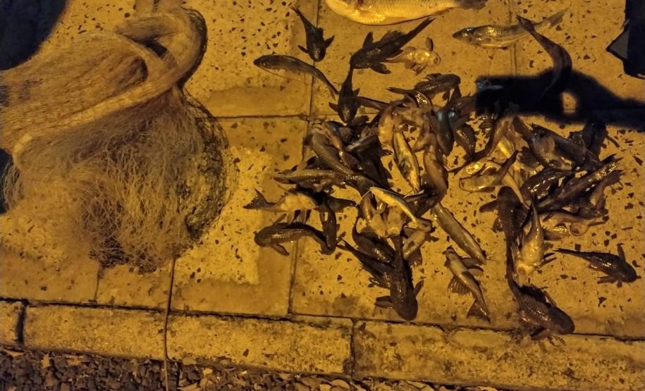 Com operação Lua Cheia, PM Ambiental lavra quatro autos de infração por caça e pesca ilegal no Norte do estado