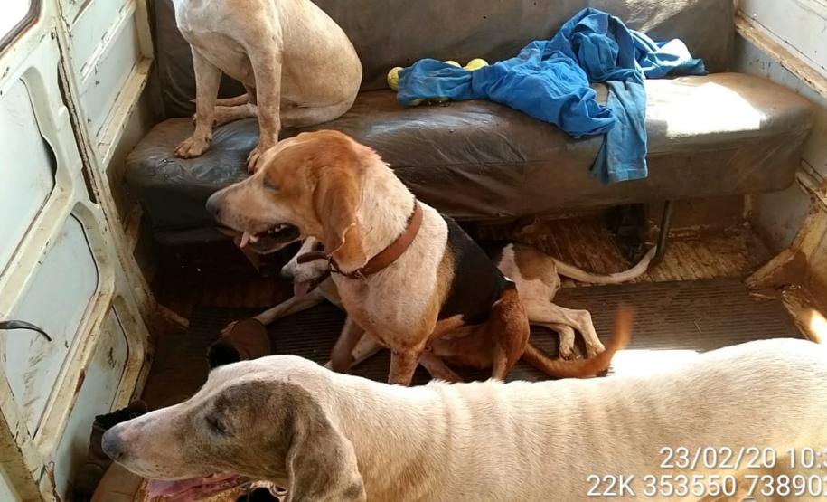 Batalhão Ambiental flagra trio saindo para caçar no Noroeste do estado