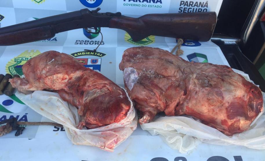 BPAmb-FV apreende dois animais silvestres e uma espingarda no Noroeste do estado