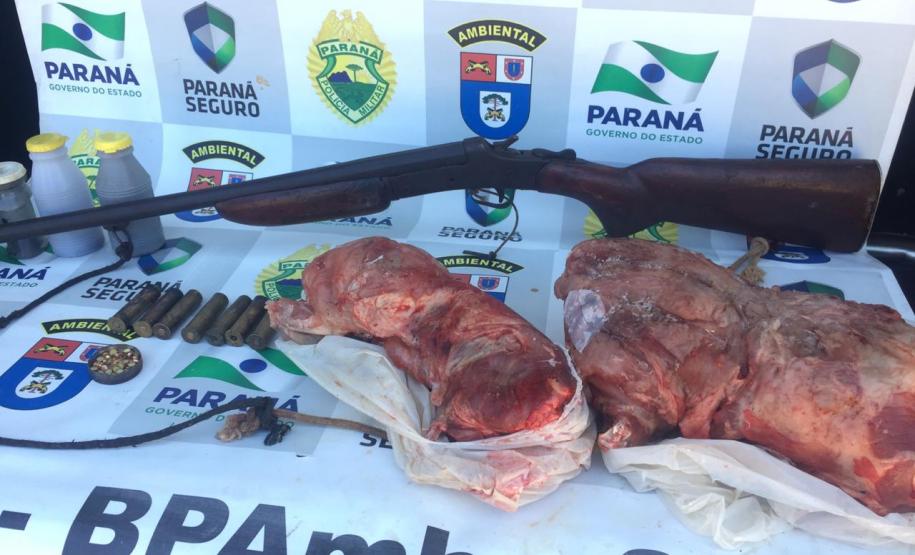 BPAmb-FV apreende dois animais silvestres e uma espingarda no Noroeste do estado