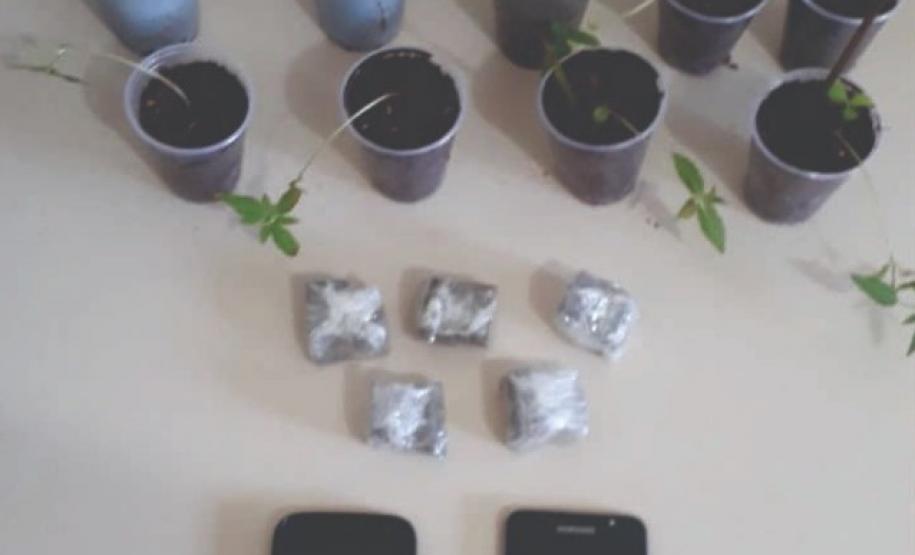 Operação em conjunto da PM e do MP prende quatro pessoas investigadas por de furto e receptação de gado no Noroeste do estado