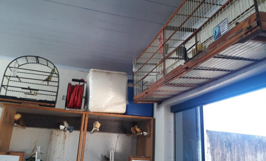 Mais de R$ 260 mil em multas ambientais são aplicados durante Operação Saturno, no Norte do Paraná