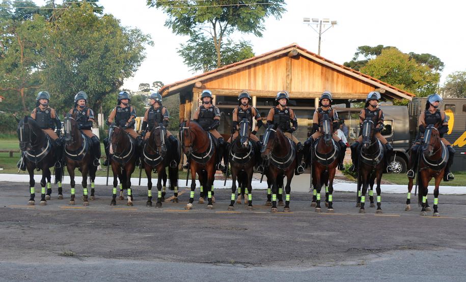 Regimento de Polícia Montada da PM celebra passagem de comando durante solenidade militar em Curitiba