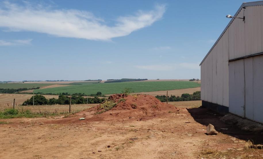 Granja que depositava frangos mortos em área de proteção permanente é autuada em R$ 10 mil pela Polícia Ambiental em Iporã (PR)