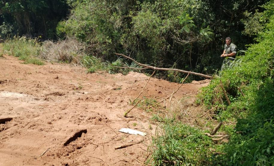 Granja que depositava frangos mortos em área de proteção permanente é autuada em R$ 10 mil pela Polícia Ambiental em Iporã (PR)