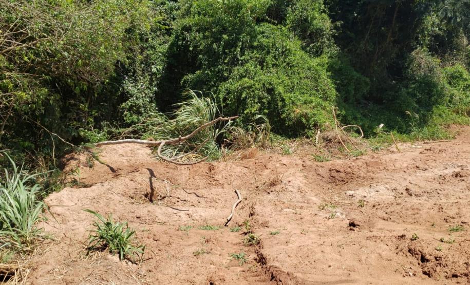 Granja que depositava frangos mortos em área de proteção permanente é autuada em R$ 10 mil pela Polícia Ambiental em Iporã (PR)