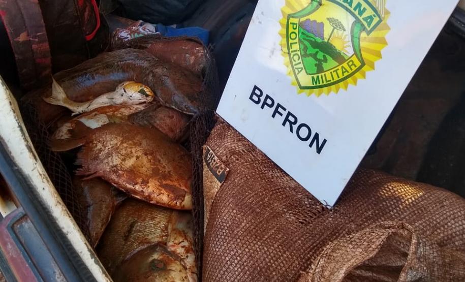 BPFron prende cinco pessoas e apreende quase 100 quilos de peixe roubado no Oeste do estado