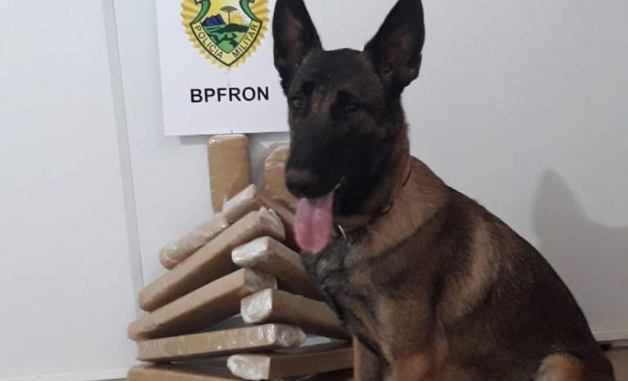 BPFron apreende mais de 11 quilos de maconha e uma arma de fogo no Oeste do estado