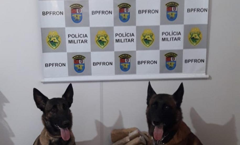 BPFron apreende mais de 11 quilos de maconha e uma arma de fogo no Oeste do estado