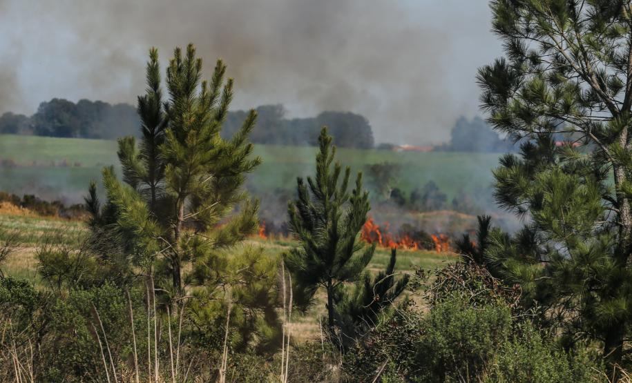 Incêndios ambientais crescem 33% no Paraná no 1.º trimestre