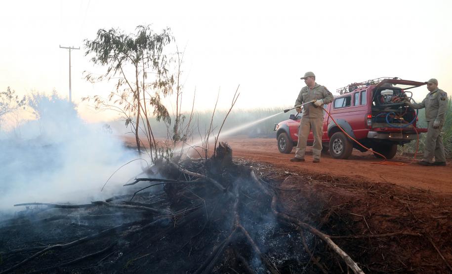 Incêndios ambientais crescem 33% no Paraná no 1.º trimestre