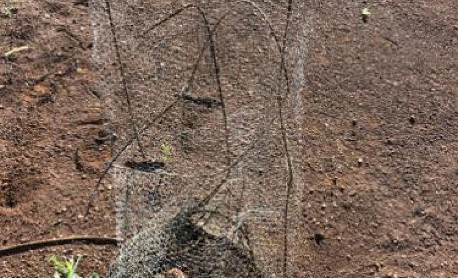 BPAmb-FV apreende armas de fogo, materiais de pesca e prende duas pessoas em situações distintas no Centro-Sul do estado